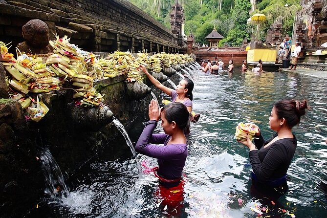 Private Tour Ubud: Swing at Rice Field with Temple and Waterfall - Private Transport From Denpasar, With English-Speaking Drivers