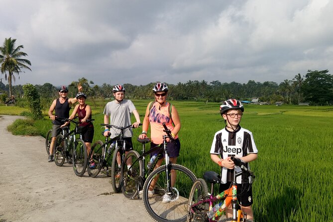 Private Ubud Downhill Cycling with Volcano, Rice Paddies & Meal - Manukaya village roads: nearly all downhill, with fewer hassles