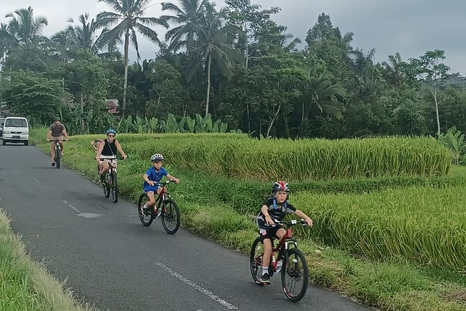 Private Ubud Downhill Cycling with Volcano, Rice Paddies & Meal - Price and value: why $75 makes sense for a private day