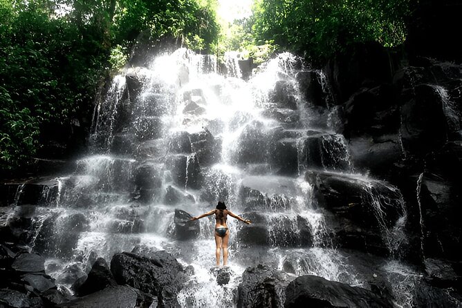 Private Ubud Instagrammable Tour - All Inclusive - What makes this Ubud tour feel different from a basic waterfall day