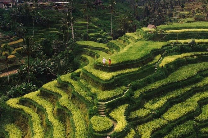 Private Ubud Tour - Key things you should know before you go