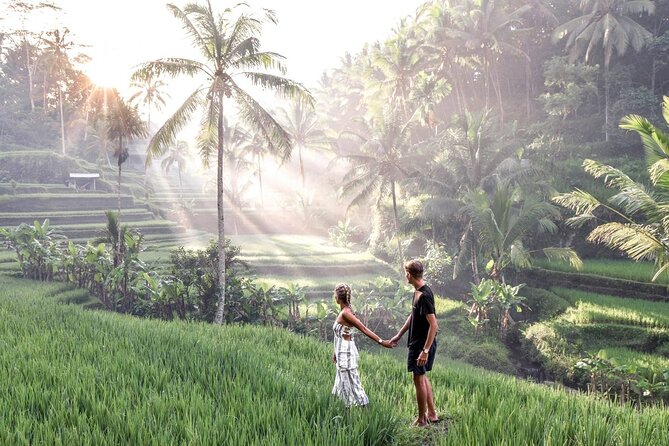 Private Ubud Tour: Monkey Forest, Waterfall & Rice Terrace - Campuhan Ridge Walk and museum time if you want a softer day