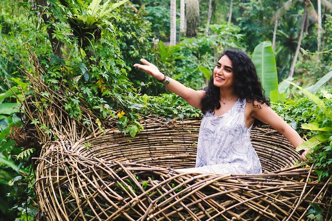 Private Ubud Tour: Waterfall, Rice Terrace & Monkey Forest - Tegalalang Rice Terrace: Classic Views With a Manageable Pace