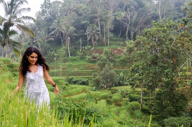 Private Ubud Tour: Waterfall, Rice Terrace & Monkey Forest - Value for $39: What Makes This Feel Like a Good Deal