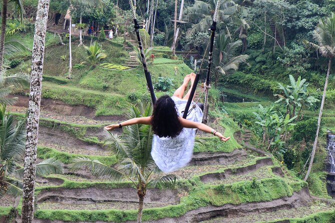 Private Ubud Tour: Waterfall, Rice Terrace & Monkey Forest - Timing, Movement, and Who It Suits Best