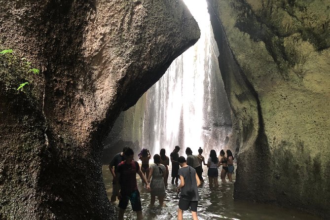 Private Ubud Tour with Hidden Waterfalls - Tegalalang Rice Terrace photo time (and what to ask about)