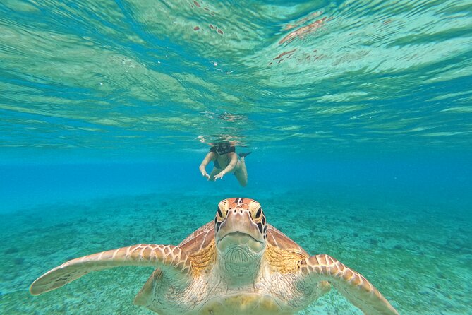 Public Snorkeling 3 Islands - Key things to know before you go