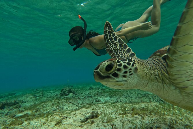 Public Snorkeling 3 Islands - Half-day schedule from Ozzy Snorkeling Center in Gili Trawangan