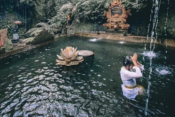 Purification Ceremony, Kehen Temple and Goa Raja Waterfall Tour - Goa Raja Waterfall, natural pools, and jungle time