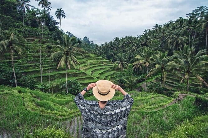 Purification Ceremony, Kehen Temple and Goa Raja Waterfall Tour - Price and value: what $55 actually buys you