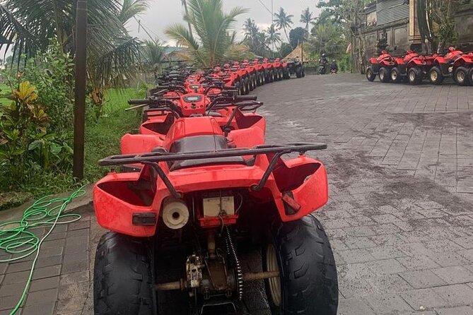 Quadbike Adventure with Tunnel and Waterfall Tour in Bali - Who Should Book This Quadbike Tunnel and Waterfall Tour