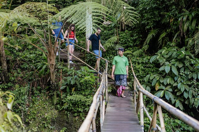 Quick Access: The Bali Instagram Small Group Tour - Stop 4: Tegalalang Rice Terraces, classic Bali views at real height
