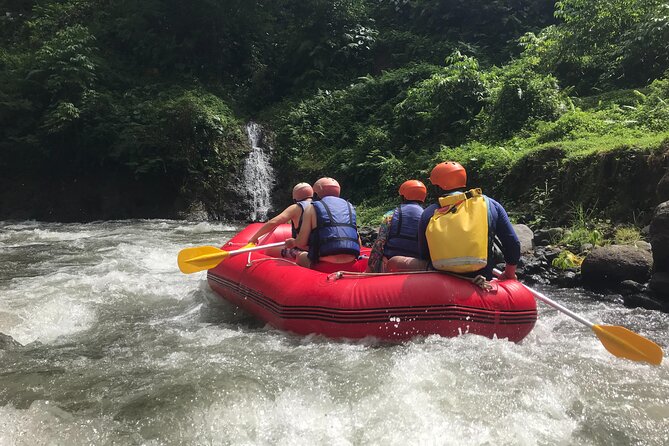 Rafting Adventure 18 km and Balinese Village Life Tour with Lunch - Stop 1: Telaga Waja River (3 hours) and how the trip feels