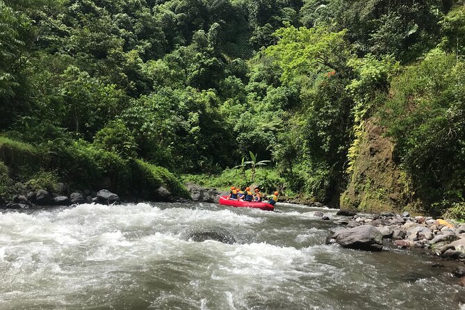 Rafting Adventure 18 km and Balinese Village Life Tour with Lunch - Stop 2 in Klungkung: rice fields and everyday Balinese life