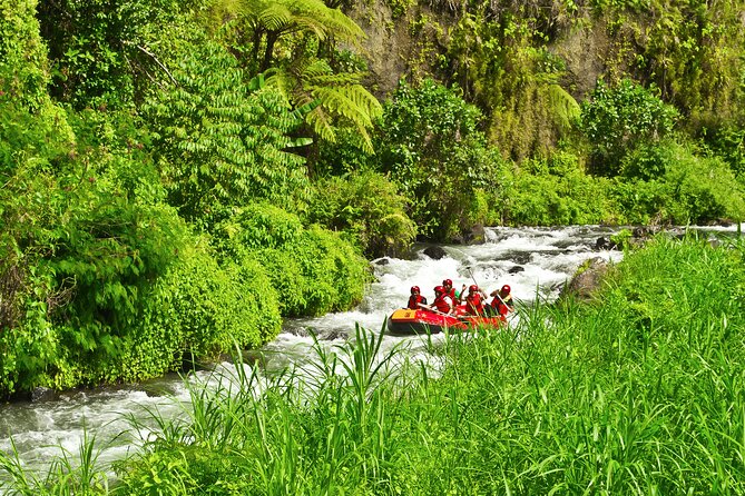 Rafting Adventure 18 km and Balinese Village Life Tour with Lunch - Who this tour suits best (and who should rethink it)