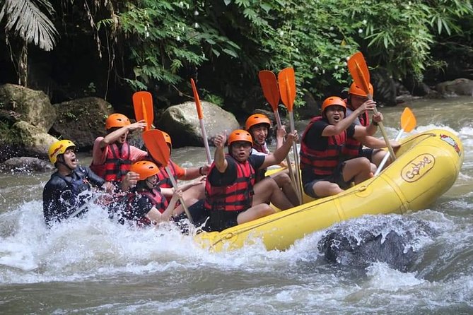 Rafting Swing Monkey Forest And Waterfall Tour All Inclusive - A packed day that still feels practical