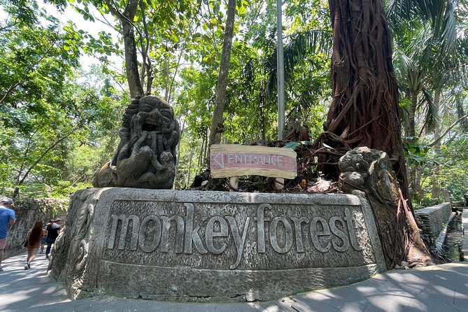 Rafting Swing Monkey Forest And Waterfall Tour All Inclusive - Stop 2: Happy Swing Bali and that ready-to-go photo moment