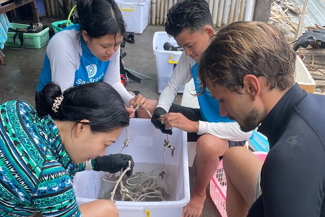 Reef Rehabilitation Course and Snorkeling - The coral nursery stop: where you see how the process starts