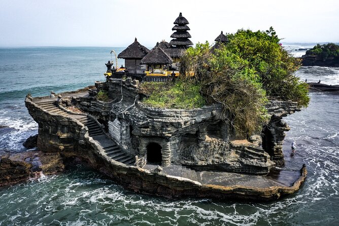 Royal Family Temple, Monkey Forest, and Tanah Lot Sunset Tour - Alas Kedaton Monkey Forest: Macaca fascicularis and the Bat Factor
