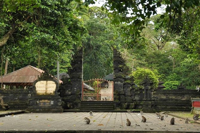 Royal Family Temple, Monkey Forest, and Tanah Lot Sunset Tour - Price and Value: What $44 Covers and Why It Feels Fair