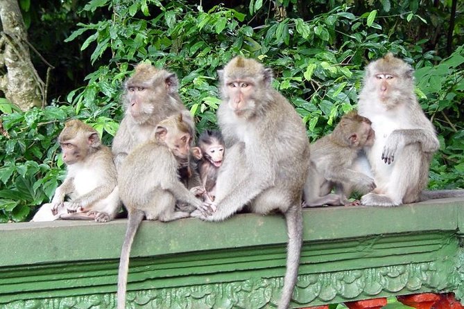 Royal Family Temple, Monkey Forest, and Tanah Lot Sunset Tour - Should You Book This Tour?