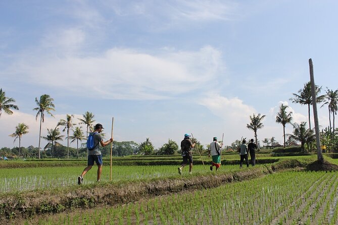 Rural Charm of Bali Tour - Getting into the village rhythm: kite flying, pond fishing, and rice-field walks
