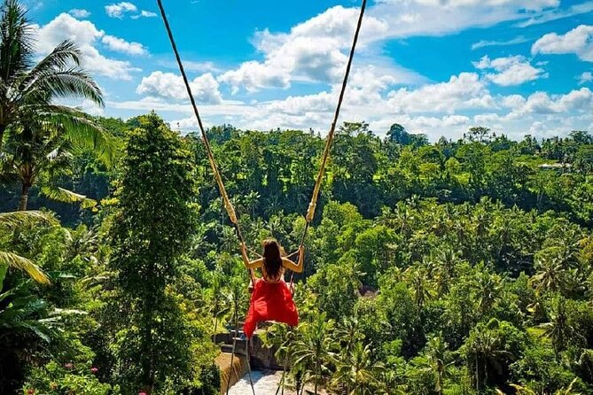 Sacred Spring Experience - Ubud Tour - Why this Ubud day tour is a smart first-timer plan