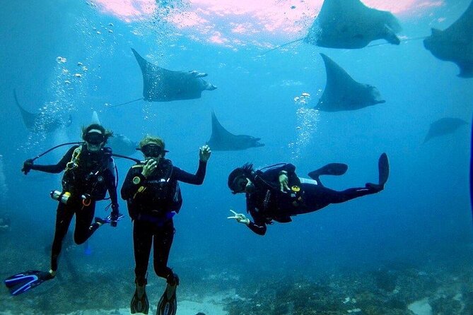 Sanur Open Water Course learn diving in 3 Days - Get certified & Dive everywhere - PADI Open Water in Sanur, set up for first-time calm