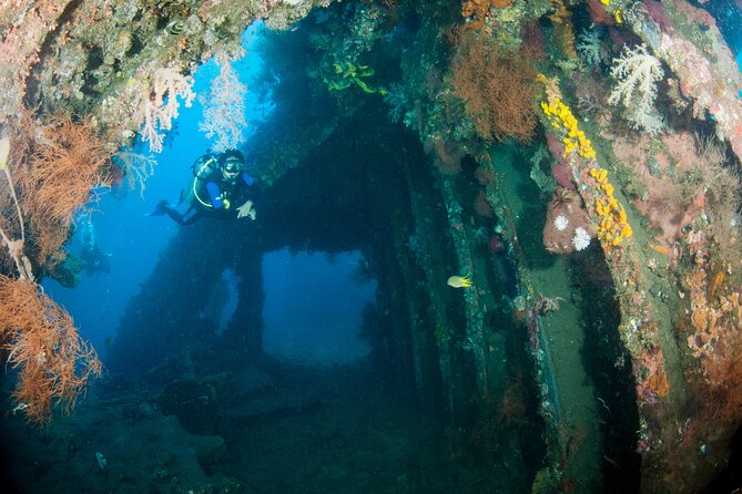 Sanur Open Water Course learn diving in 3 Days - Get certified & Dive everywhere - Day 3 site choices in Padang Bai or Tulamben, plus an optional extra day plan