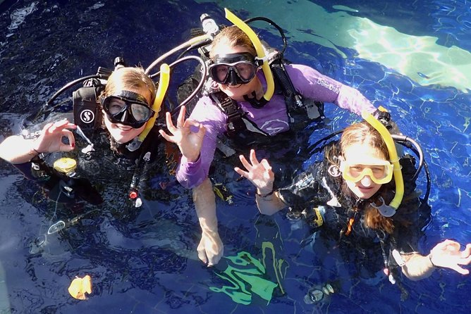 Sanur Open Water Course learn diving in 3 Days - Get certified & Dive everywhere - Day 2 in Sanur Bay, two open-water sessions that teach control