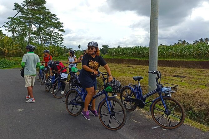 Sanur Village E-bike Tour: Family-Friendly Adventure - Price and what you truly get for $46.48