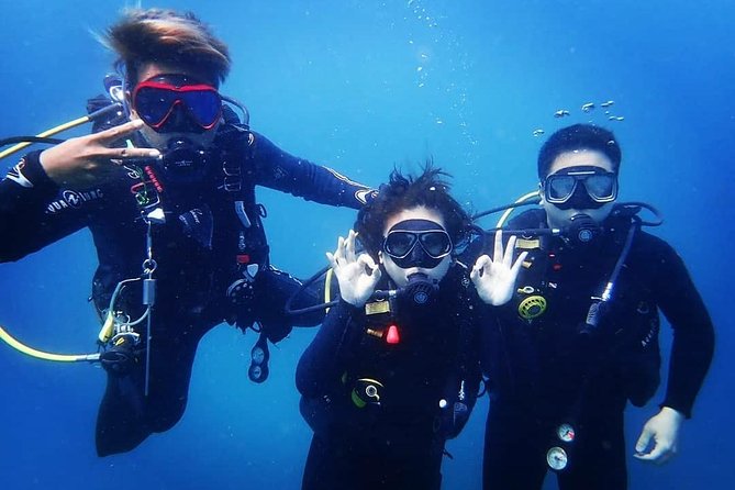 Scuba Diving in Nusa Penida - Manta Point - Price and value: does $175 buy a manta-ready day?