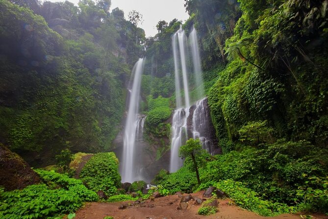 Sekumpul waterfall & aling2 waterfall with private service (including activity) - Key things that make this waterfall day work
