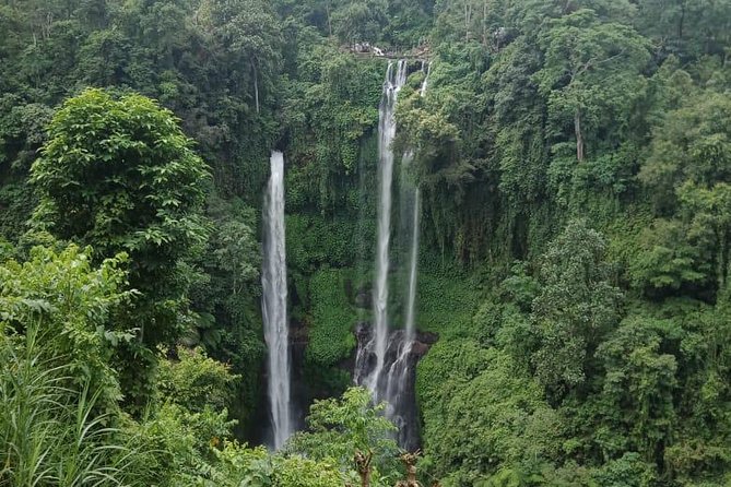 Sekumpul waterfall & aling2 waterfall with private service (including activity) - Value check: is $75 per person a good deal?