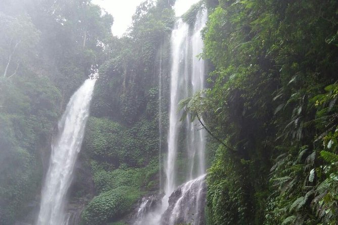 Sekumpul waterfall & aling2 waterfall with private service (including activity) - Sekumpul Waterfall: why the drive is worth it
