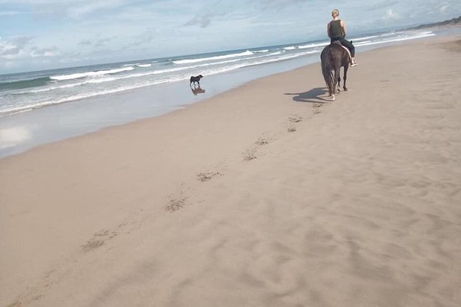 Seminyak Beach Bali Horse Riding - Helmets, Guides, and Simple Safety Checks Before You Mount