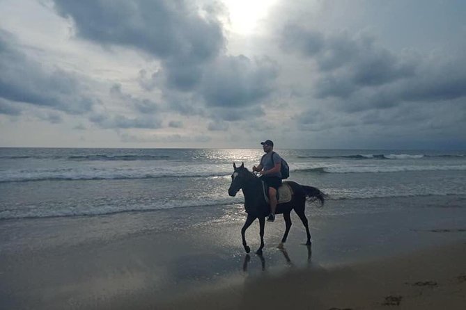 Seminyak Beach Bali Horse Riding - Who This Seminyak Horse Ride Suits (and Who Should Skip It)