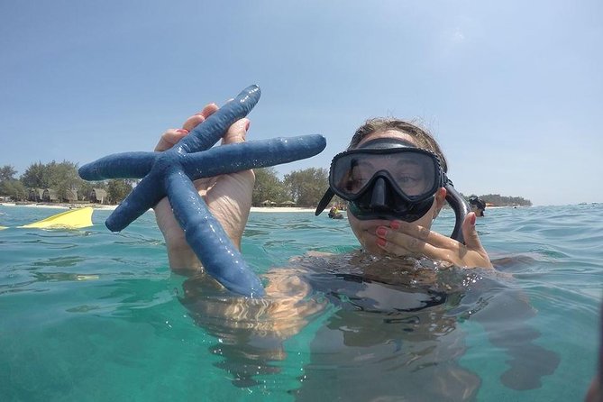 Sharing Snorkeling Trip Gili islands Depart Lombok/Gili Trawangan - Price, Group Size, and What You Get for $20