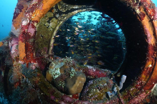 Shipwreck Diving in Tulamben - Key points to know before you go