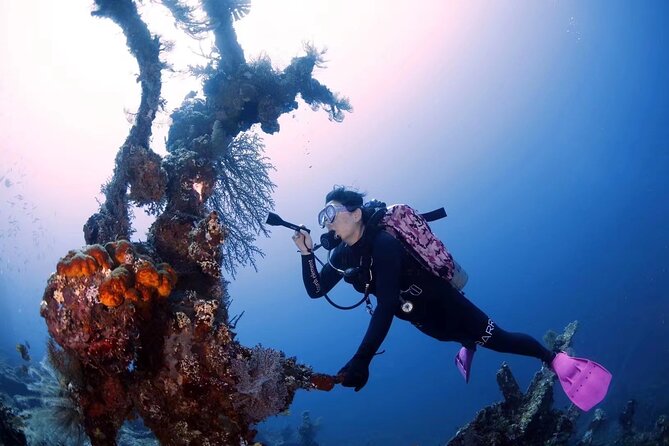 Shipwreck Diving in Tulamben - Boat time, blue water, and the “between sessions” break