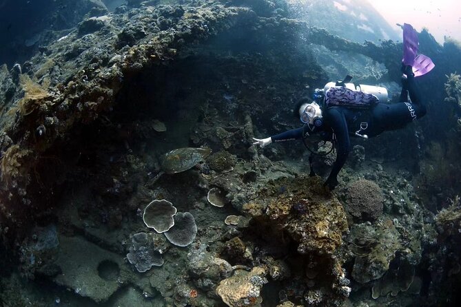 Shipwreck Diving in Tulamben - Lunch and the return to Sanur: ending strong