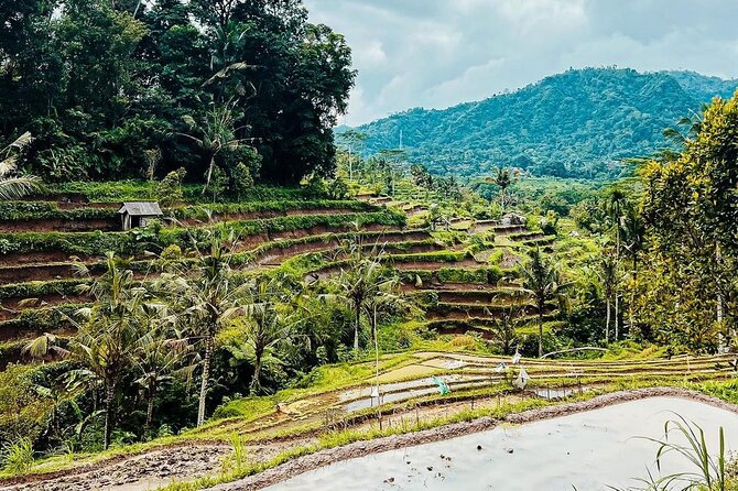 Sidemen Trekking: A Walk from a Different Perspective - Why Sidemen feels like a different Bali zone