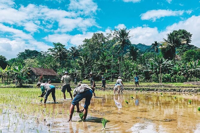 Sidemen Trekking: A Walk from a Different Perspective - Crossing the hanging wooden bridge and spotting village temple life