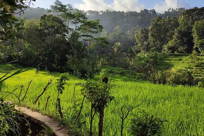 Sidemen Trekking: A Walk from a Different Perspective - Walking level, footing, and what to wear