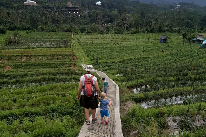 Sidemen Trekking Through Rice Terraces and Villages - Key highlights you will care about