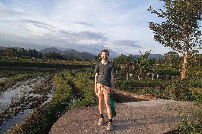 Sidemen Trekking Through Rice Terraces and Villages - Rice work you might see: planting, plowing, and harvest timing