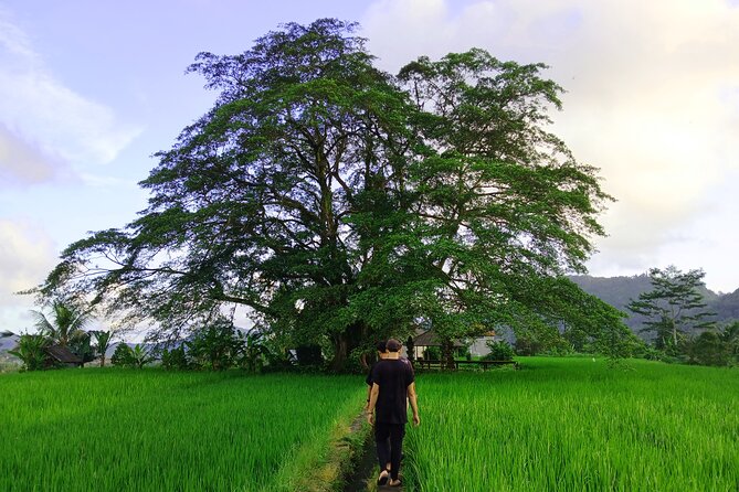 Sidemen Trekking with Cultural Encounters and Nature Views - Key Things That Make This Sidemen Trek Work