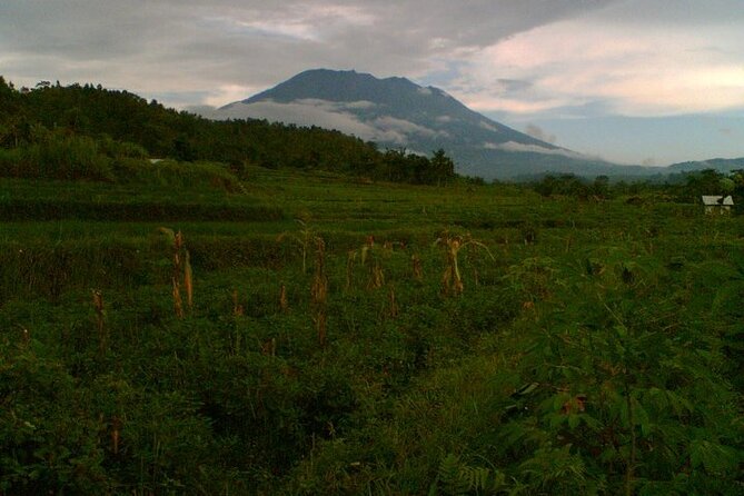 Sidemen Trekking with Cultural Encounters and Nature Views - Sidemen Rice Fields, Guided at Your Speed