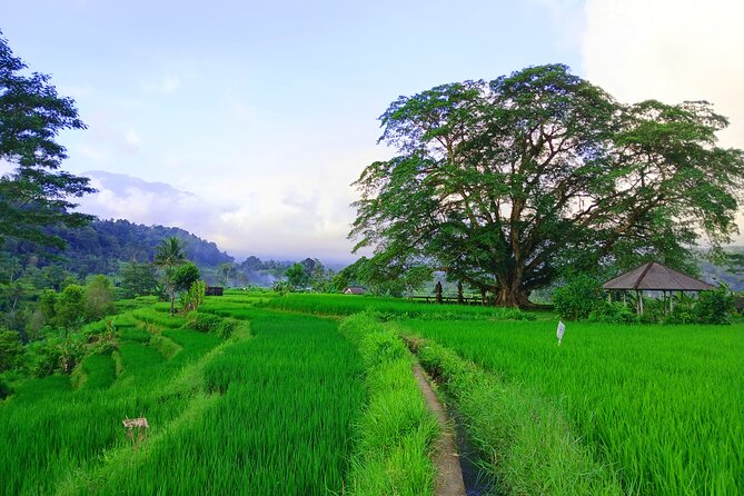 Sidemen Trekking with Cultural Encounters and Nature Views - Choosing a Route Focus: Jungle, Village Life, or Classic Vistas