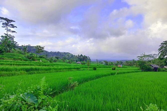 Sidemen Trekking with Cultural Encounters and Nature Views - Guides Matter: Gede, Warm Hospitality, and French Support